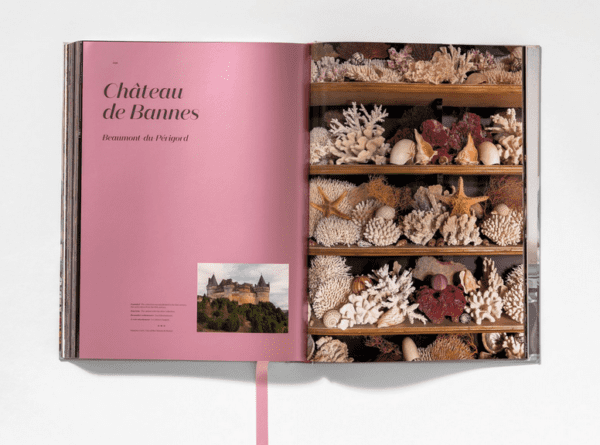 Massimo Listri. Cabinet of Curiosities XXL