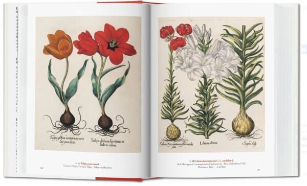 A Garden Eden. Masterpieces of Botanical Illustration. 40th Ed.