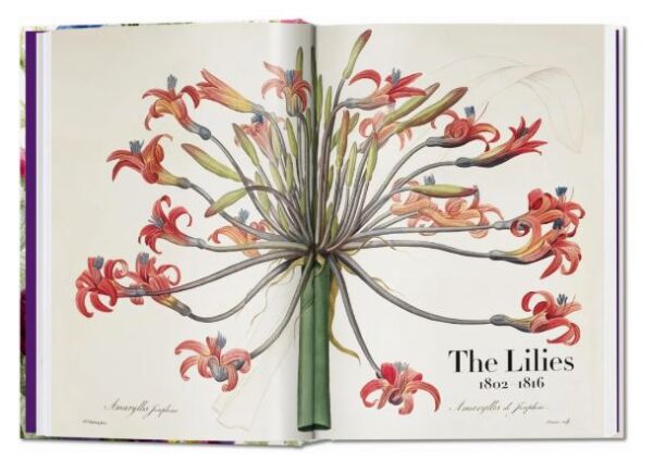 Redouté. The Book of Flowers. 40th Ed.