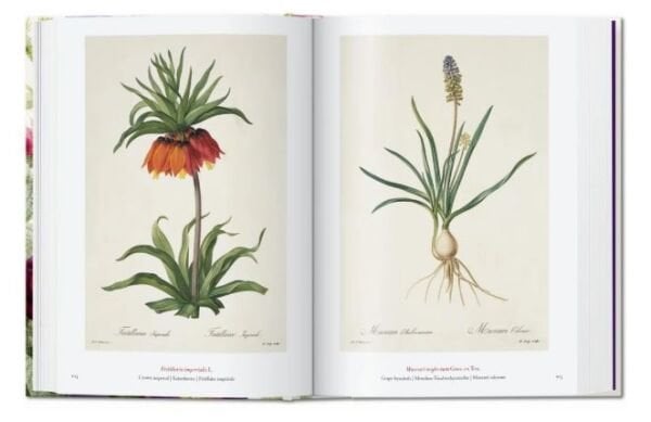 Redouté. The Book of Flowers. 40th Ed.