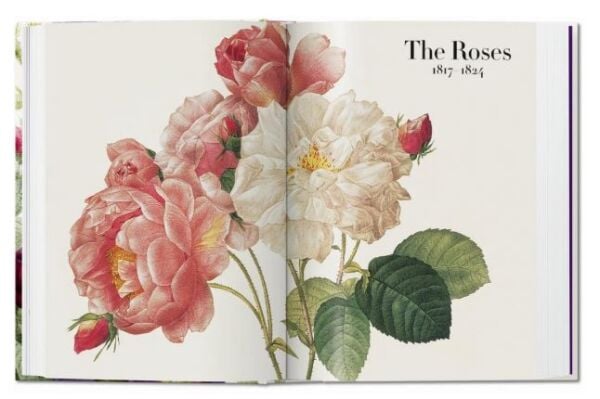 Redouté. The Book of Flowers. 40th Ed.