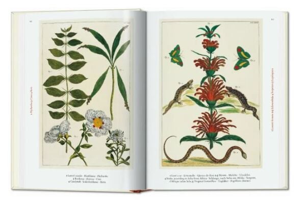 Seba. Cabinet of Natural Curiosities. 40th Ed.