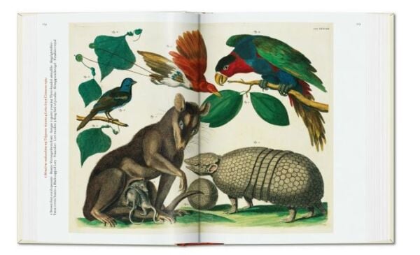 Seba. Cabinet of Natural Curiosities. 40th Ed.