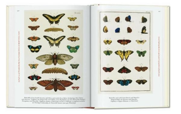 Seba. Cabinet of Natural Curiosities. 40th Ed.