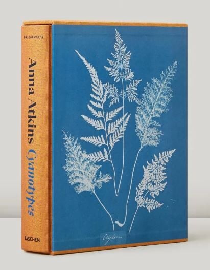 Anna Atkins. Cyanotypes