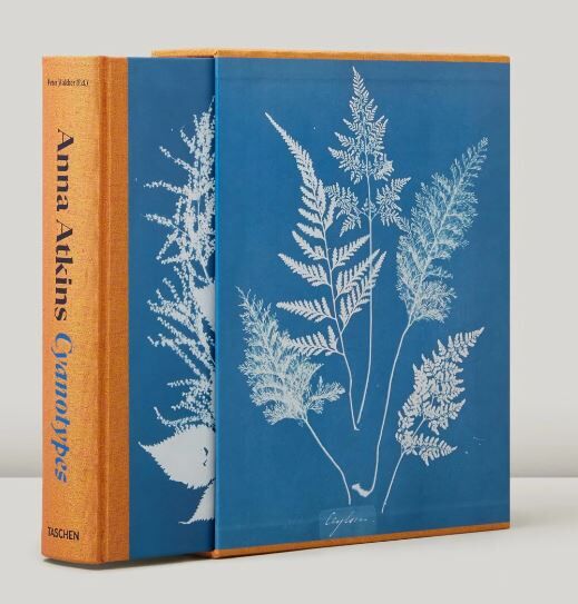 Anna Atkins. Cyanotypes