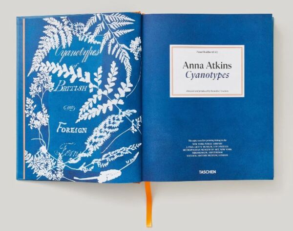 Anna Atkins. Cyanotypes