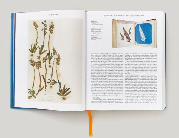 Anna Atkins. Cyanotypes