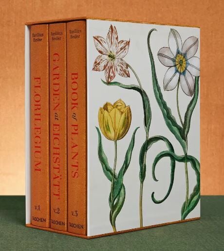 Basilius Besler. The Garden at Eichstätt