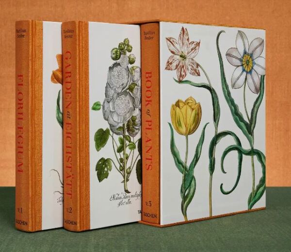 Basilius Besler. The Garden at Eichstätt