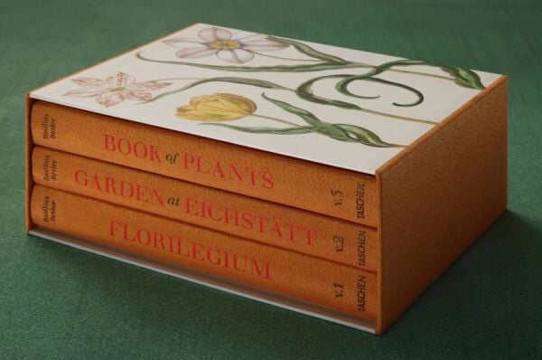 Basilius Besler. The Garden at Eichstätt