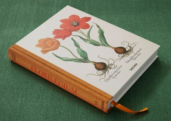 Basilius Besler. The Garden at Eichstätt