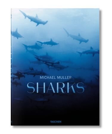 Michael Muller. Sharks XL
