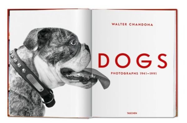 Walter Chandoha. Dogs. Photographs 1941–1991