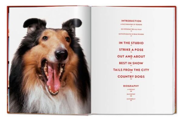 Walter Chandoha. Dogs. Photographs 1941–1991