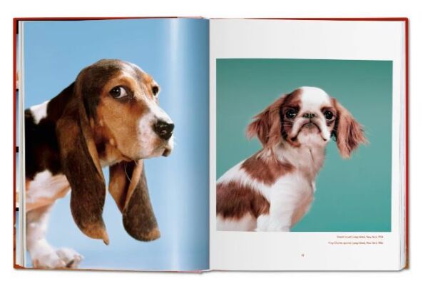 Walter Chandoha. Dogs. Photographs 1941–1991