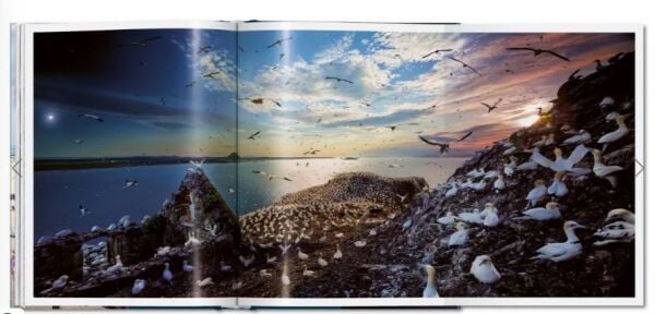 Stephen Wilkes. Day to Night XL