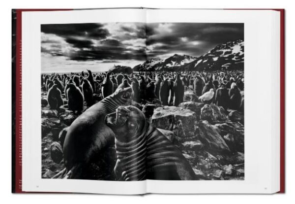 Sebastião Salgado. Genesis XL