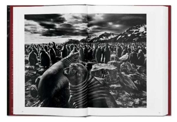 Sebastião Salgado. Genesis XL