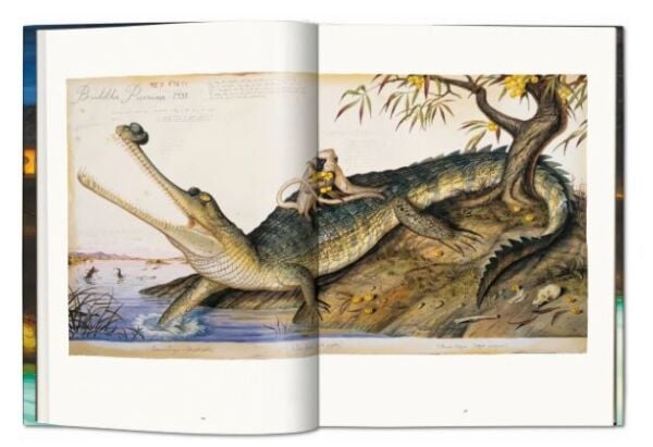 Walton Ford. Pancha Tantra. Updated Edition XL