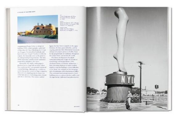 California Crazy. American Pop Architecture