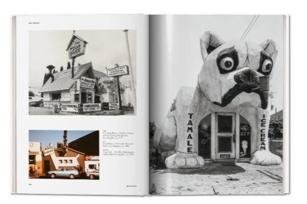 California Crazy. American Pop Architecture