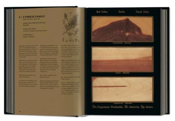 Romeyn B. Hough. The Woodbook. The Complete Plates