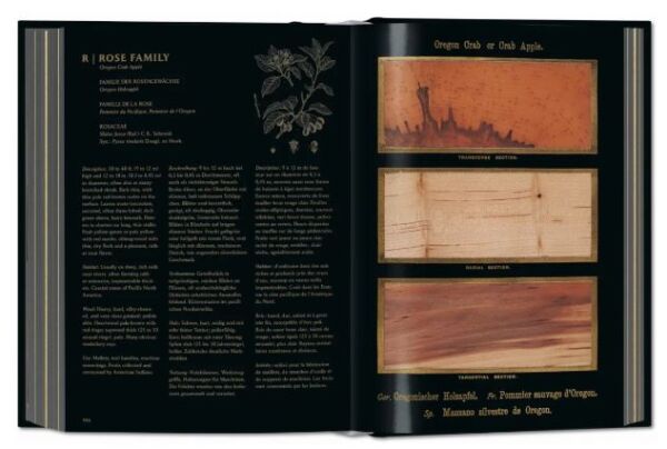 Romeyn B. Hough. The Woodbook. The Complete Plates