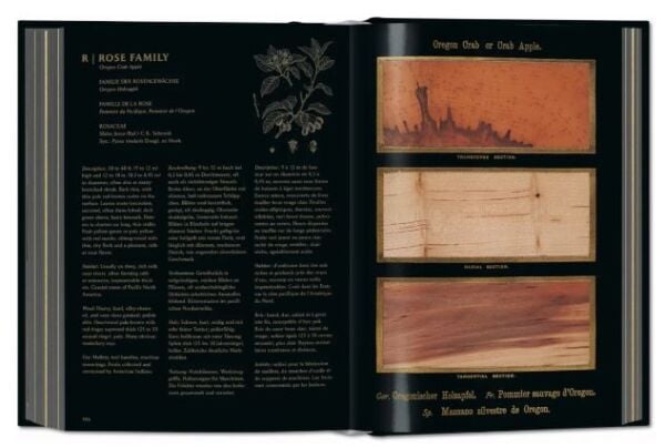 Romeyn B. Hough. The Woodbook. The Complete Plates