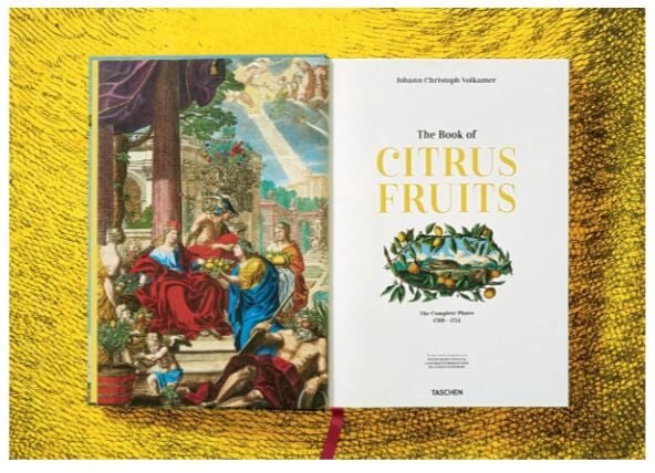 J. C. Volkamer. The Book of Citrus Fruits XXL