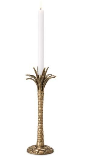 MUMLUK PALMİYE ÇÖLÜ