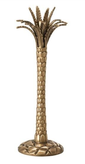 MUMLUK PALMİYE ÇÖLÜ