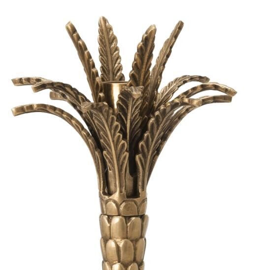 MUMLUK PALMİYE ÇÖLÜ