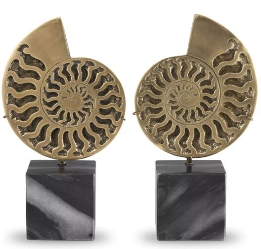 OBJECT AMMONITE SET OF 2