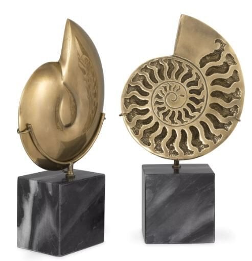 OBJECT AMMONITE SET OF 2