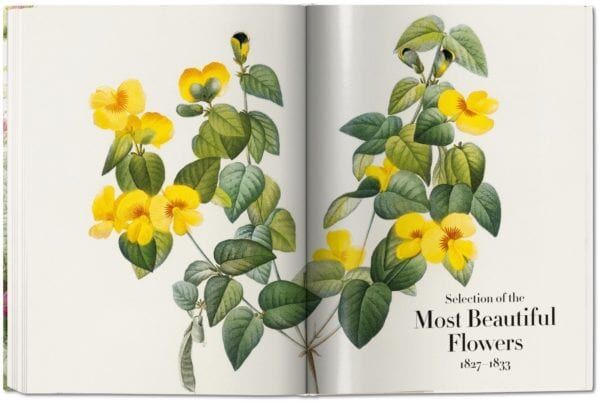 THE BOOK OF FLOWERS BÜYÜK BOY