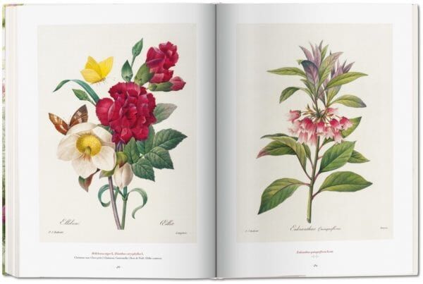 THE BOOK OF FLOWERS BÜYÜK BOY