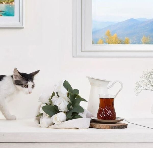 Robe Line Çay Bardak Takımı 18 Parça