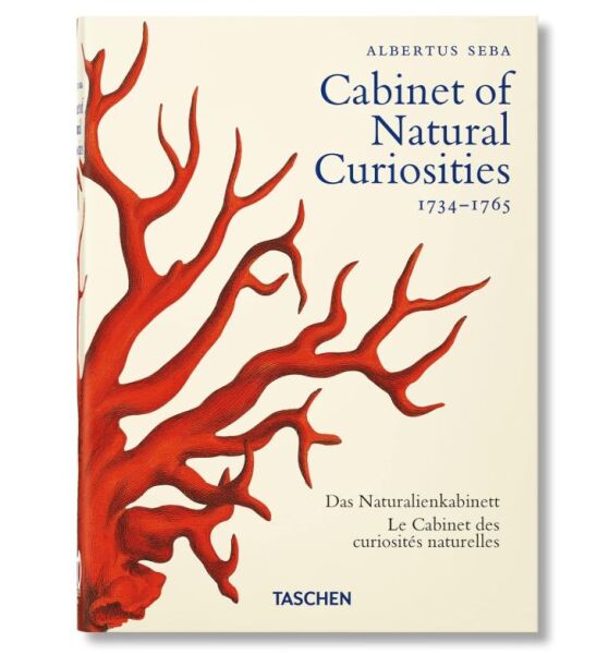Cabinet Of Natural Curiosities