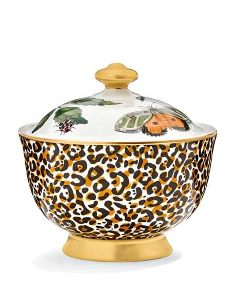 Creatures of Curiosity Kapaklı Şekerlik