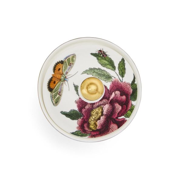 Creatures of Curiosity Kapaklı Şekerlik