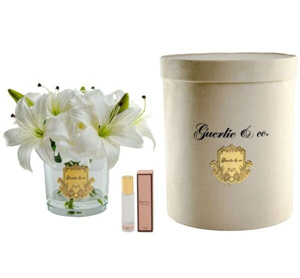 Lilium Gold LOGO Oval CAM