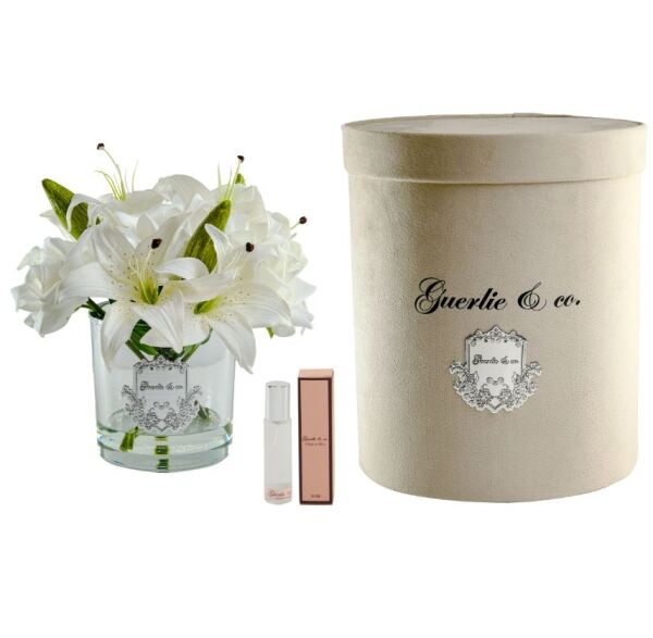 Lilyum Gümüş LOGO Oval CAM