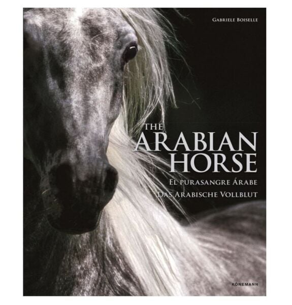 The Arabian Horse