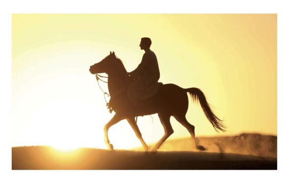 The Arabian Horse