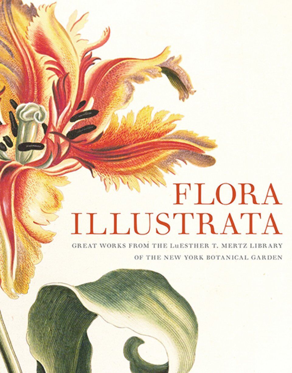 Flora Illustrata