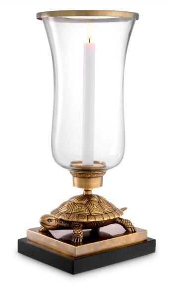Hurricane Tortoise