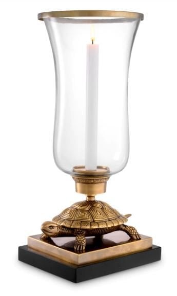 Hurricane Tortoise