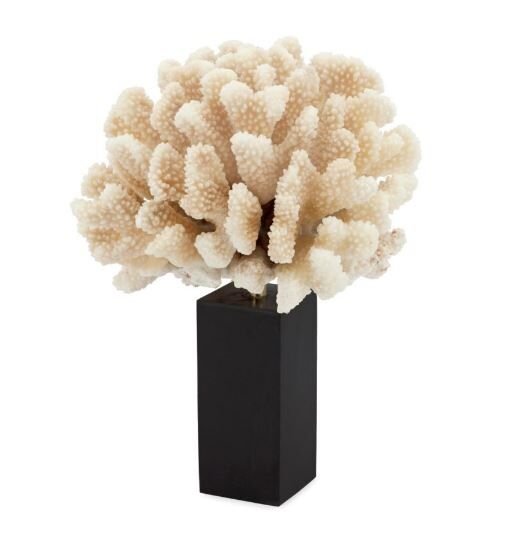 CORAL KRIZIA H26 17X17