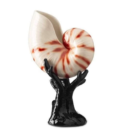 SEASHELL BISC. W/BASE H32 BLACK NATURAL